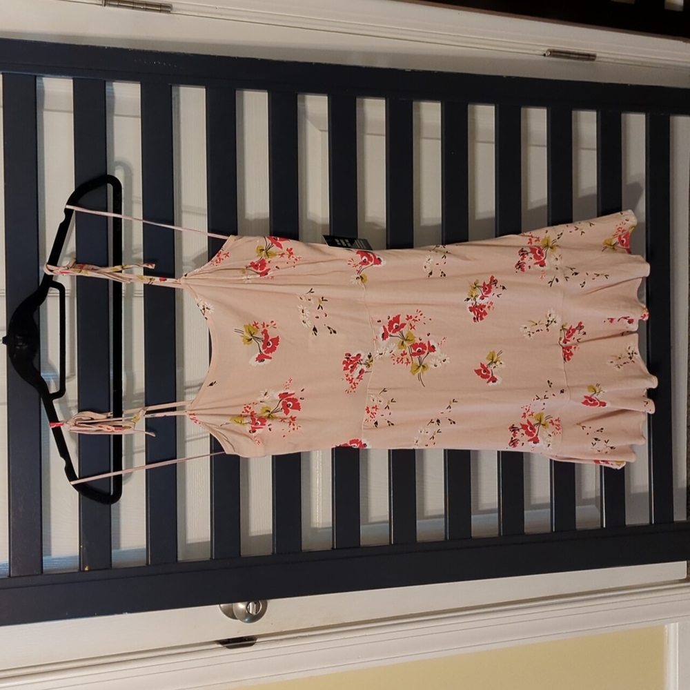 Express XS NWT pink floral lined dress